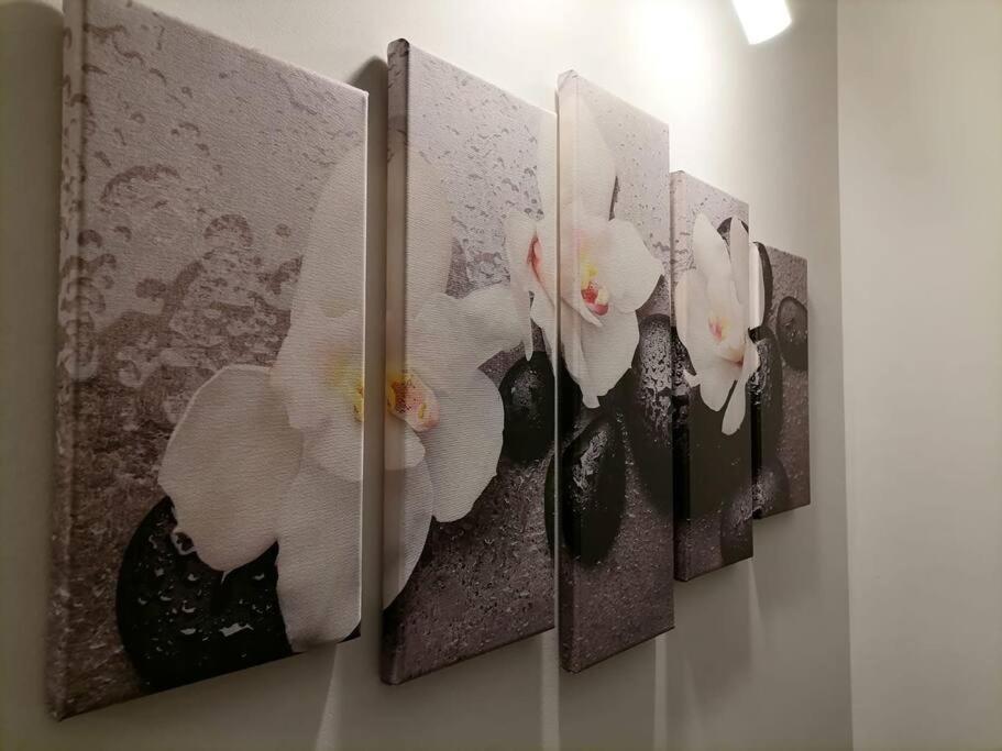 Zen By Downtown Apartments Marosvásárhely Kültér fotó